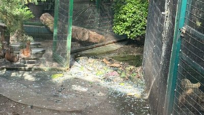 Наслідки атаки РФ у зоопарку