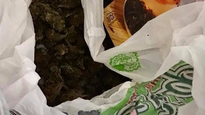 Виростив для себе: житель Херсонщини пояснив поліцейським, чому зберігав коноплі Виростив для себе: житель Херсонщини пояснив поліцейським, чому зберігав коноплі