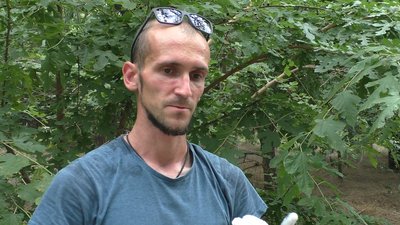 "Просто прибрати там, де ми знаходимося". Волонтери влаштували суботник на Хортиці "Просто прибрати там, де ми знаходимося". Волонтери влаштували суботник на Хортиці