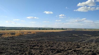 В полі на Харківщині грались діти. Згоріли 20 гектарів пшениці