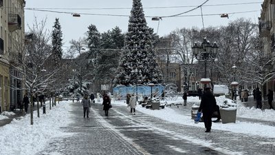 Сильний сніг, подекуди з дощем: яку погоду прогнозують на Закарпатті 7 січня