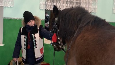 Засівання з конем: особливості давнього обряду з Тернопільщини Засівання з конем: особливості давнього обряду з Тернопільщини
