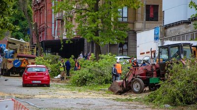 У Дніпрі, на площі Шевченка, почали спилювати дерева. Мешканці проти