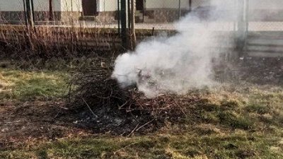 Намагався втекти. На Франківщині затримали палія трави Намагався втекти. На Франківщині затримали палія трави