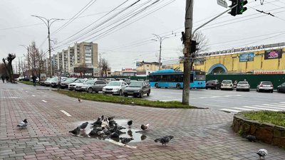 Вінниця, ринок