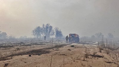 Після масштабної пожежі на Запоріжжі знову зайнялася плавнева зона: що відомо