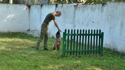 Перед тим, як собака має їхати на своє службове завдання. Чотирилапі проходять відбір. Фото: Суспільне Перед тим, як собака має їхати на своє службове завдання. Чотирилапі проходять відбір. Фото: Суспільне