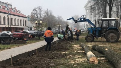 У Полтаві на висадку дерев спрямували пів мільйона гривень з бюджету громади У Полтаві на висадку дерев спрямували пів мільйона гривень з бюджету громади