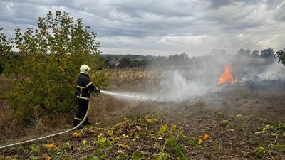 На Черкащині за добу сталося сім пожеж на відкритих територіях