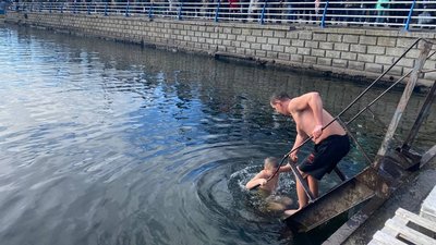 Водохрещя: як херсонці Водохрещя: як херсонці