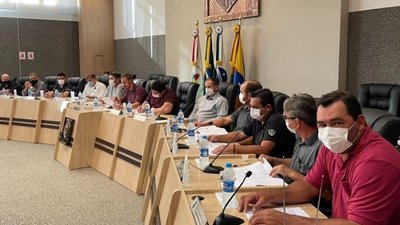У Бразилії в місті-партнері Тернополя українська стала офіційною мовою