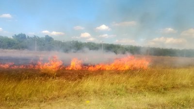 У Миколаївській області рятувальники 9 разів ліквідовували пожежі на відкритих територіях
