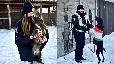 Поліцейські влаштували фотосесію з безпритульними тваринами Поліцейські влаштували фотосесію з безпритульними тваринами