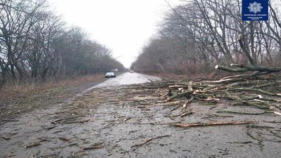 Через негоду на Тернопільщині зірвало покрівлю Литвинівської школи Через негоду на Тернопільщині зірвало покрівлю Литвинівської школи