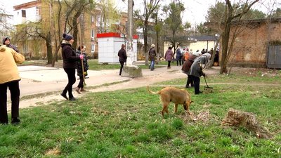 Житомиряни вчетверте вийшли на міську толоку Житомиряни вчетверте вийшли на міську толоку