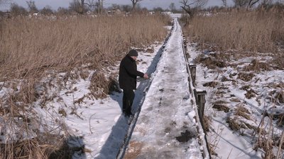 місток місток