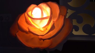 Жителька Тернопільщини виготовляє лапми у вигляді квітів Жителька Тернопільщини виготовляє лапми у вигляді квітів