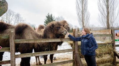 Як зимують тварини у Луцькому зоопарку за умов відключення світла Як зимують тварини у Луцькому зоопарку за умов відключення світла
