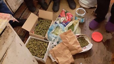 У жителя Черкас правоохоронці знайшли майже пів кілограма канабісу У жителя Черкас правоохоронці знайшли майже пів кілограма канабісу