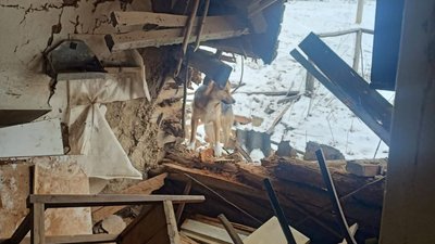 "Не хотів виїжджати, жив сам". Армія РФ вбила останнього мешканця села Степок на Сумщині "Не хотів виїжджати, жив сам". Армія РФ вбила останнього мешканця села Степок на Сумщині