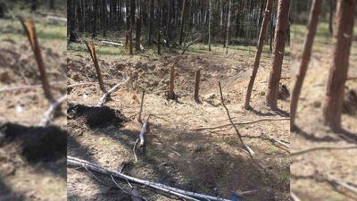 Природа Чернігівщини після бойових дій Природа Чернігівщини після бойових дій