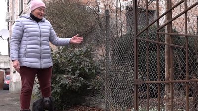 У Черкасах розквітли підсніжники У Черкасах розквітли підсніжники