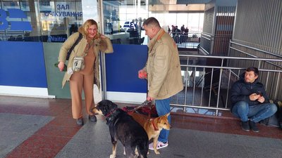 "Наші собаки тримають нас у тонусі". Короткі історії з вокзалу під час евакуації "Наші собаки тримають нас у тонусі". Короткі історії з вокзалу під час евакуації
