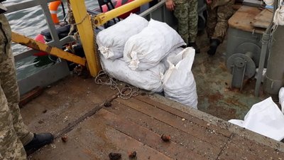Понад 16 тисяч рапанів врятували прикордонники на Миколаївщині
