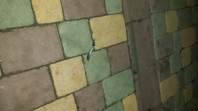У Рівному власнику будівельної фірми підкинули гранату на подвір'я – поліція У Рівному власнику будівельної фірми підкинули гранату на подвір'я – поліція