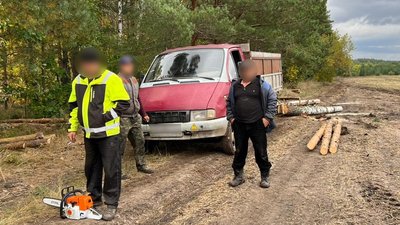 У Сумському районі п'ятеро чоловіків незаконно випилювали дерева — поліція У Сумському районі п'ятеро чоловіків незаконно випилювали дерева — поліція