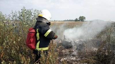 У Павлограді згоріло 2 гектари сухої трави У Павлограді згоріло 2 гектари сухої трави
