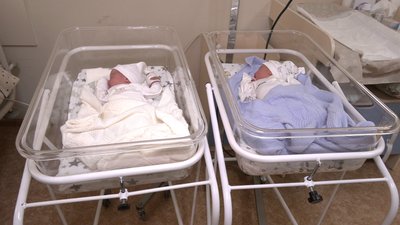 Протягом тижня у Полтавській громаді народилося 56 дітей