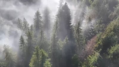 На Франківщині під час високої пожежної небезпеки в’їзди в ліси перекриватимуть шлагбаумами На Франківщині під час високої пожежної небезпеки в’їзди в ліси перекриватимуть шлагбаумами