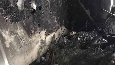 У Харкові через закорочення гірлянди жінка з дитиною потрапили у лікарню У Харкові через закорочення гірлянди жінка з дитиною потрапили у лікарню
