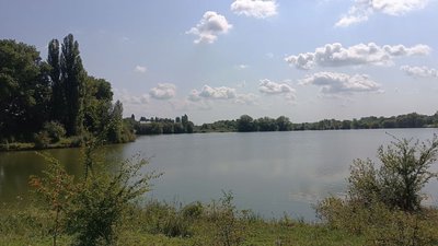 Ставок в одному з населених пунктів Хмельниччини