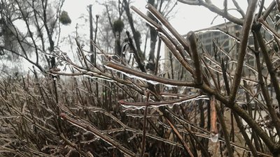 крижаний дощ у києві крижаний дощ у києві