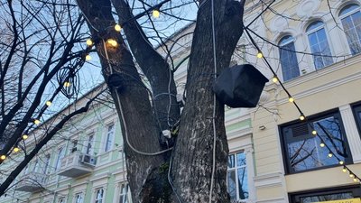 В центрі Одеси комунальники прибрали з дерев ілюмінацію та дроти В центрі Одеси комунальники прибрали з дерев ілюмінацію та дроти