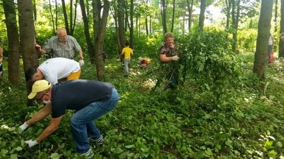 Тернопільські пенсіонери знову вийшли на толоку Тернопільські пенсіонери знову вийшли на толоку
