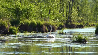 Про захоплення пейзажним аерофото розповів черкаський фотограф