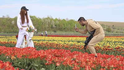 "Аж очі загорілися". На Буковині відкрилися тюльпанові поля