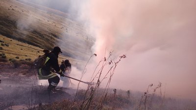 На Закарпатті горіла суха трава – вогнем знищено 4 гектари сухостою