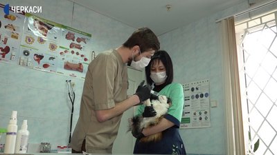 Як працюють черкаські ветклініки в умовах карантину Як працюють черкаські ветклініки в умовах карантину