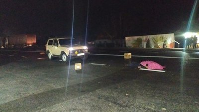 У Миколаївській області на трасі, що проходить через село, загинула жінка-пішохід
