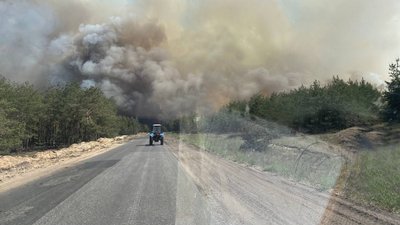 Пожежа у Лиманському лісі