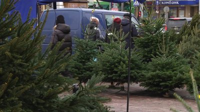 Які ялинки й за скільки купують у Хмельницькому Які ялинки й за скільки купують у Хмельницькому