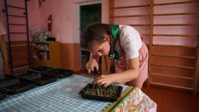 Учні Стадницької гімназії на Вінниччині вирощують мікрозелень