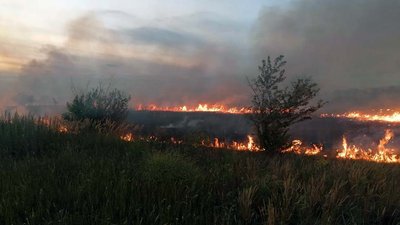 За добу на Дніпропетровщині сталося 8 пожеж в екосистемах