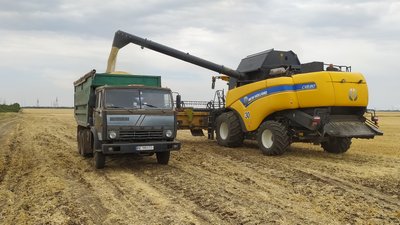 Початок жнив. На Миколаївщині зібрали озимий ячмінь сорту Ханнелоре Початок жнив. На Миколаївщині зібрали озимий ячмінь сорту Ханнелоре