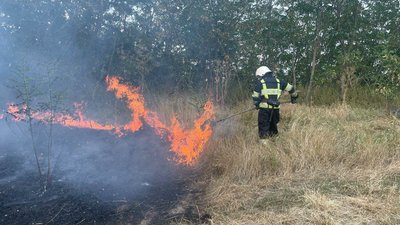 Рятувальник гасить пожежу в екосистемі на Вінниччині