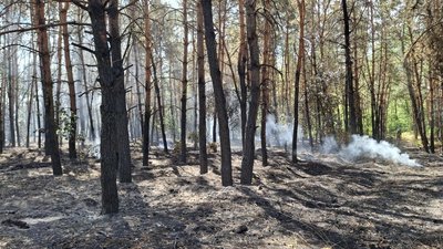 Пожежа у селі Кумейки Черкаська область